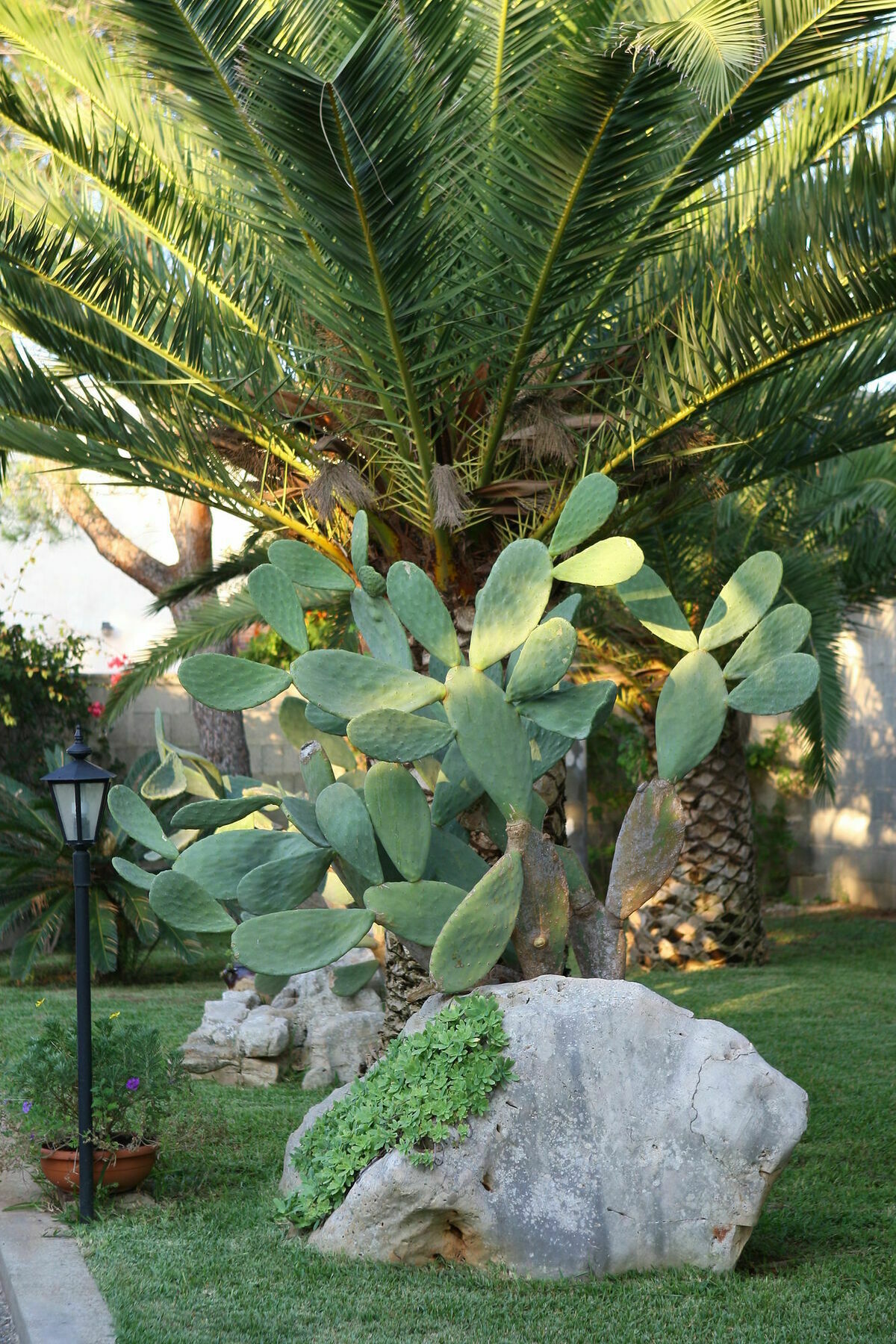 Lecce Guesthouse Екстериор снимка
