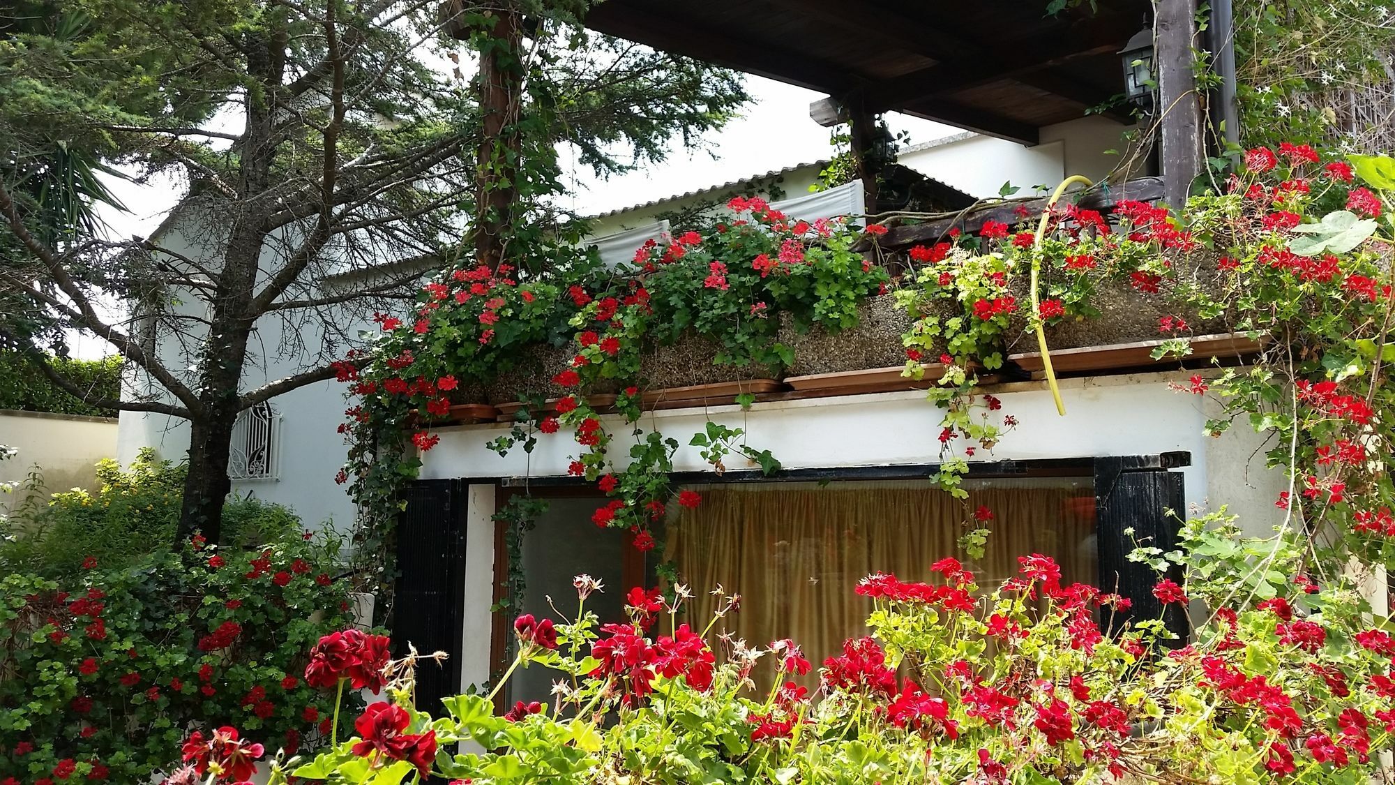 Lecce Guesthouse Екстериор снимка